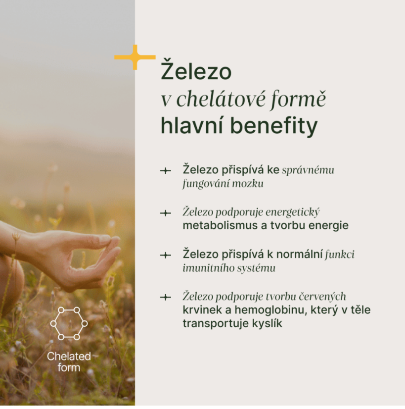 Iron; železo, TRIME - 90 kapslí
