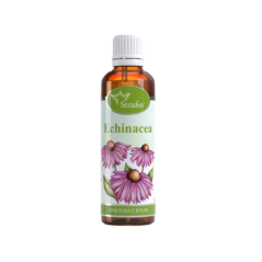 Echinacea tinktura, SERAFIN, 50 ml