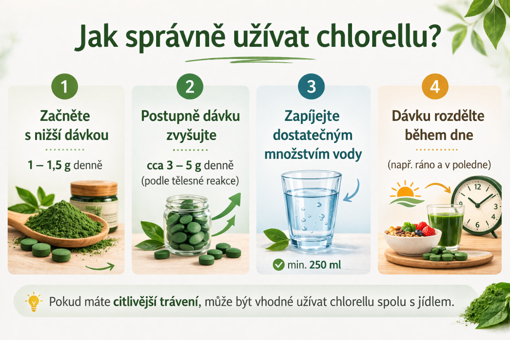 Jak správně užívat chlorellu – infografika s doporučeným dávkováním